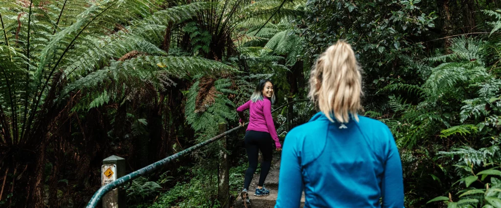 1000-steps-walk-trail