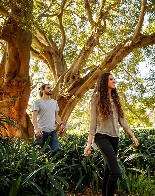 horticulture-sydney-walk