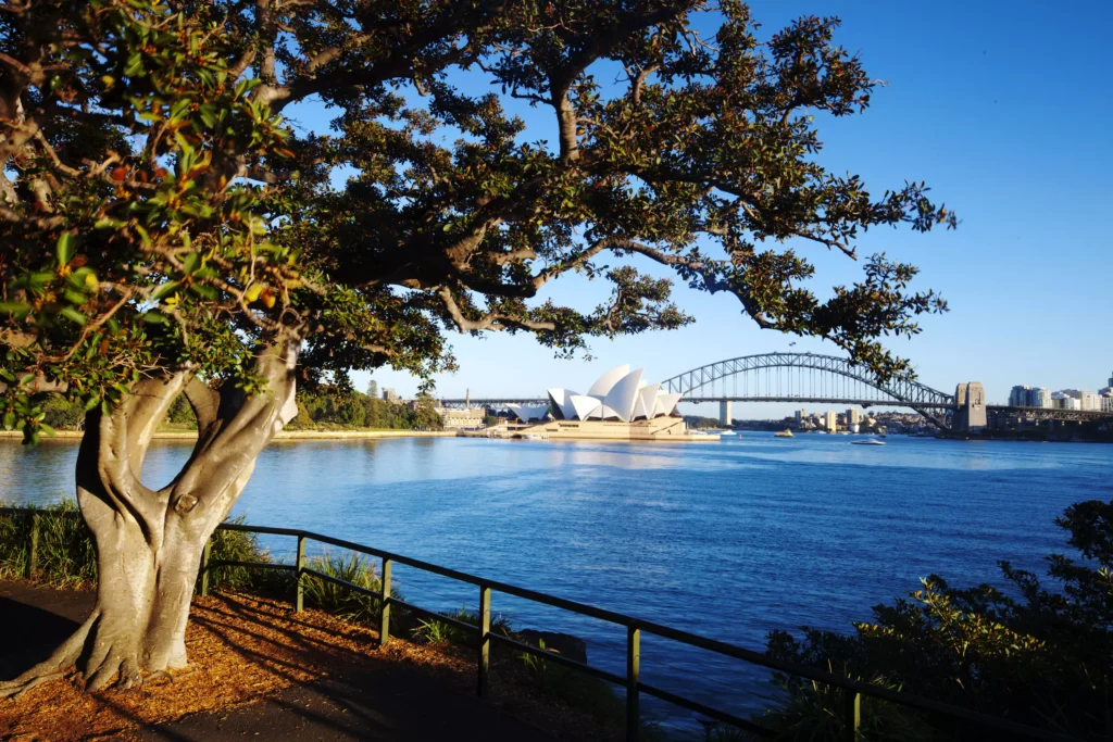 royal-botanic-garden-sydney-proposal