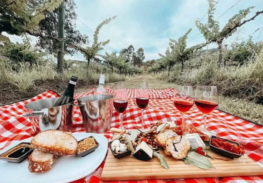 sarabah-estate-vineyard